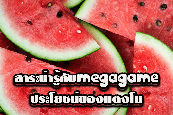 สาระน่ารู้กับmegagame ประโยชน์ของแตงโม